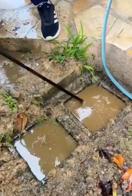 canalisation-bouche-suite-a-des-racines